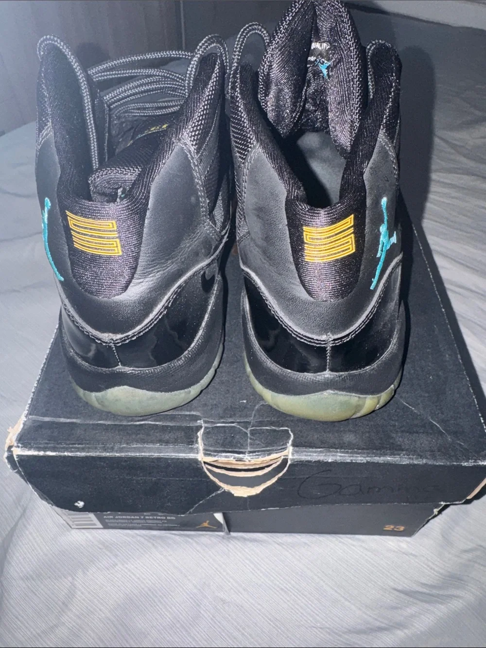 Jordan “Gamma” 11s (GS)